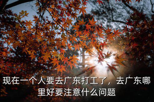 現(xiàn)在一個(gè)人要去廣東打工了，去廣東哪里好要注意什么問題