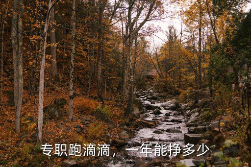 專職跑滴滴，一年能掙多少