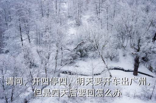 請問，開四停四，明天要開車出廣州，但是四天后要回怎么辦