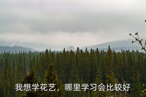 我想學花藝，哪里學習會比較好