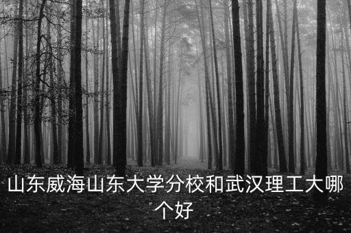 山大威海分校有多少院士,山大威海分校怎么樣