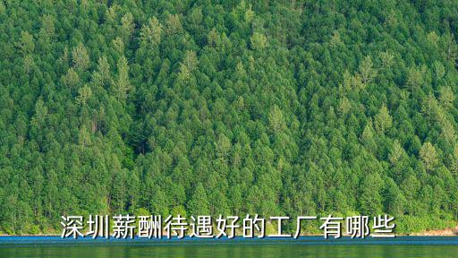 深圳薪酬待遇好的工廠有哪些