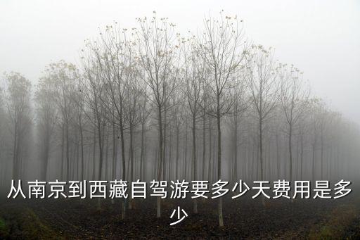 從南京到西藏自駕游要多少天費用是多少