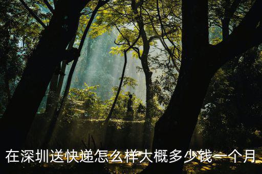 深圳現在送快遞工資待遇多少,深圳快遞員月工資大概有多少