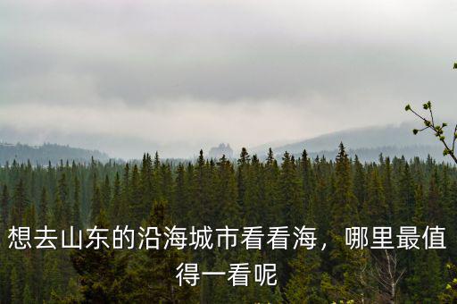 想去山東的沿海城市看看海，哪里最值得一看呢