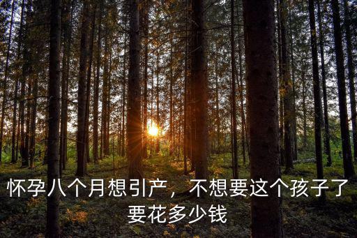 懷孕八個月想引產，不想要這個孩子了要花多少錢