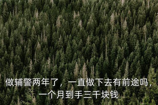 做輔警兩年了，一直做下去有前途嗎，一個月到手三千塊錢