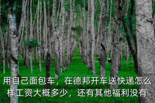 惠州跑德邦快遞怎么樣,德邦快遞和順豐快遞哪個好