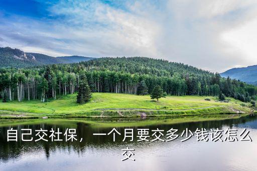自己交社保，一個(gè)月要交多少錢該怎么交