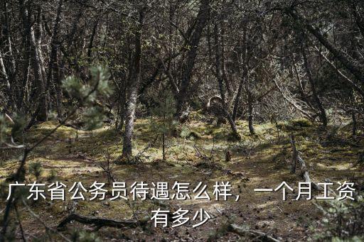 廣州黃埔新進公務員工資有多少錢,廣州公務員待遇怎樣