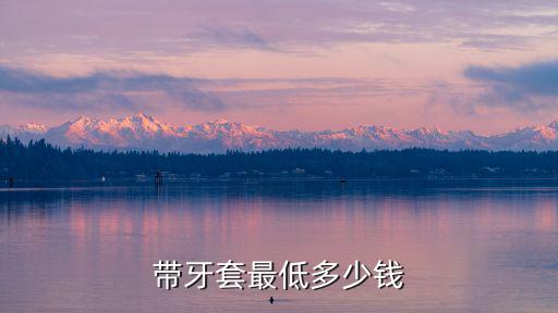 帶牙套最低多少錢