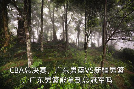 廣東男籃今年取得多少次冠軍,廣東男籃能拿到總冠軍嗎