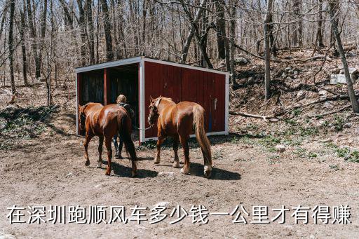 在深圳跑順風車多少錢一公里才有得賺
