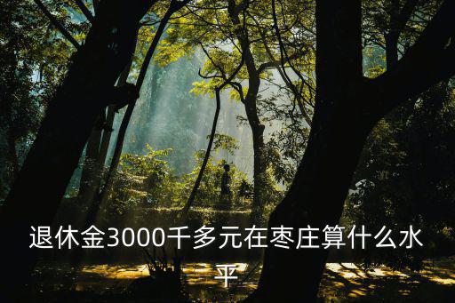 在棗莊一個月多少錢工資過得舒適,一個月至少收入多少才算夠用