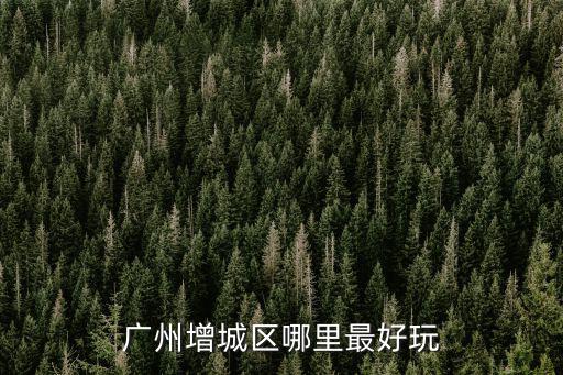廣州增城區哪里有水庫,廣州增城區哪里最好玩
