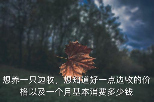 想養一只邊牧，想知道好一點邊牧的價格以及一個月基本消費多少錢