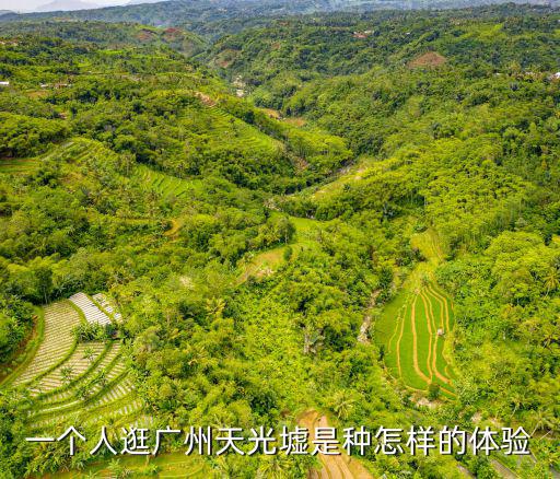 廣州天光墟哪里最好,廣州的天光墟是什么