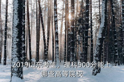 2019山東考生，理科500分能上哪些高等院校