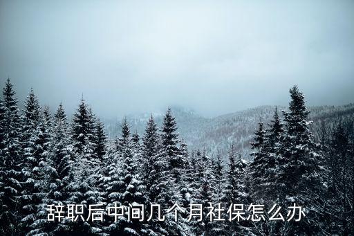 辭職后中間幾個月社保怎么辦