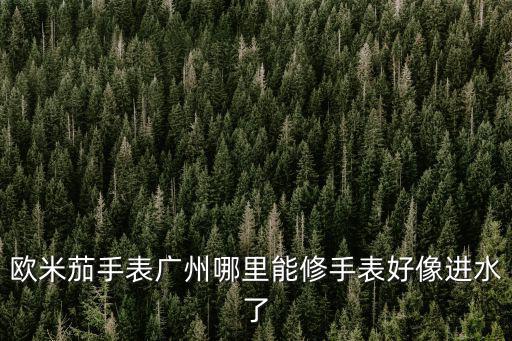 歐米茄手表廣州哪里能修手表好像進水了