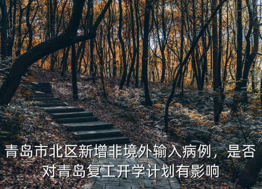 青島市北區新增非境外輸入病例，是否對青島復工開學計劃有影響