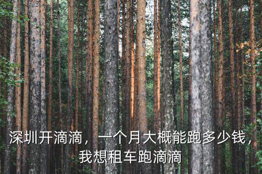 深圳開滴滴，一個月大概能跑多少錢，我想租車跑滴滴