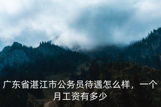 湛江一般公務(wù)員工資多少,廣東省公務(wù)員待遇怎么樣