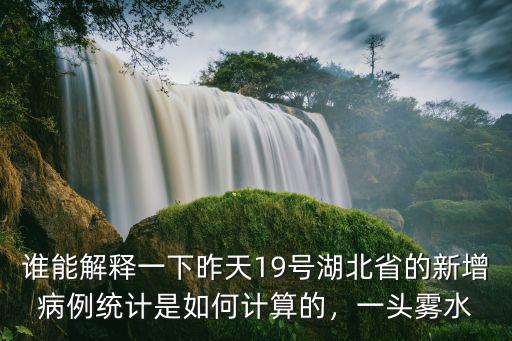 誰能解釋一下昨天19號湖北省的新增病例統計是如何計算的，一頭霧水