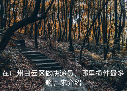 廣州白云區機場路98號在哪里,哪里攬件最多啊