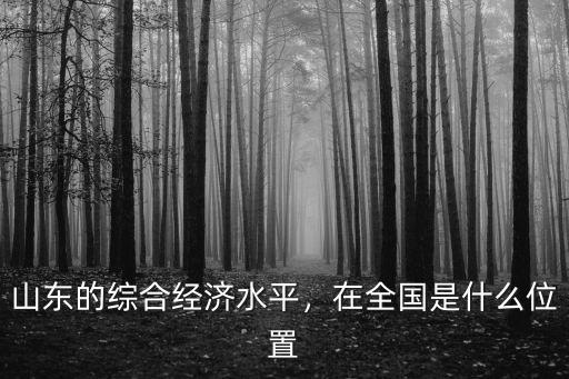 山東gdp在全國排多少,山東的經(jīng)濟在全國排名怎么樣