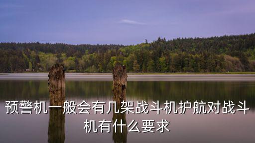 預警機一般會有幾架戰斗機護航對戰斗機有什么要求