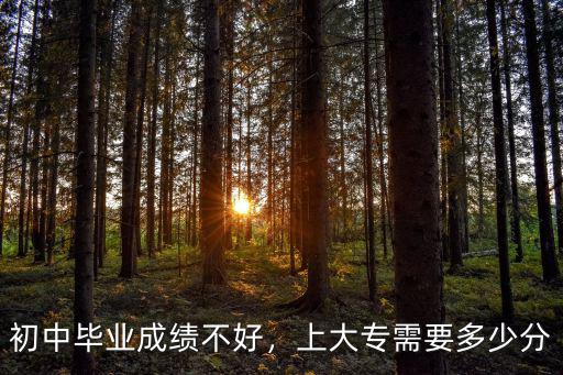 山東考個大專需要多少分,上大專需要多少分