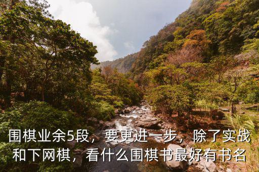 浙江省圍棋業余5段有多少錢,看什么圍棋書