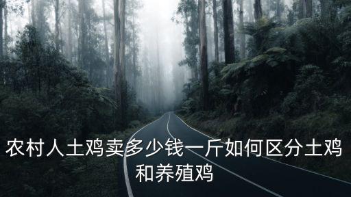 農(nóng)村人土雞賣多少錢一斤如何區(qū)分土雞和養(yǎng)殖雞