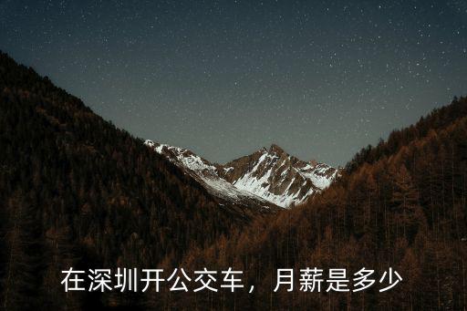 深圳的公交車(chē)要多少錢(qián)一輛,公交車(chē)多少錢(qián)一輛