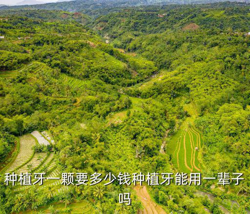 種植牙一顆要多少錢種植牙能用一輩子嗎