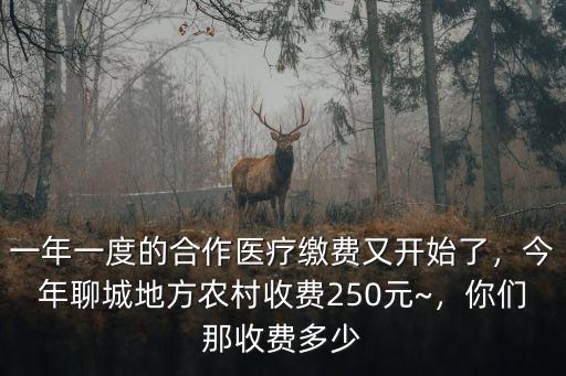 一年一度的合作醫療繳費又開始了，今年聊城地方農村收費250元~，你們那收費多少