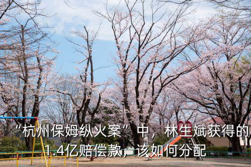 “杭州保姆縱火案”中，林生斌獲得的1.4億賠償款，該如何分配