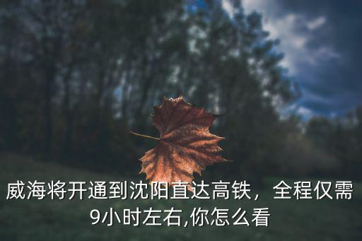 威海將開通到沈陽(yáng)直達(dá)高鐵，全程僅需9小時(shí)左右,你怎么看