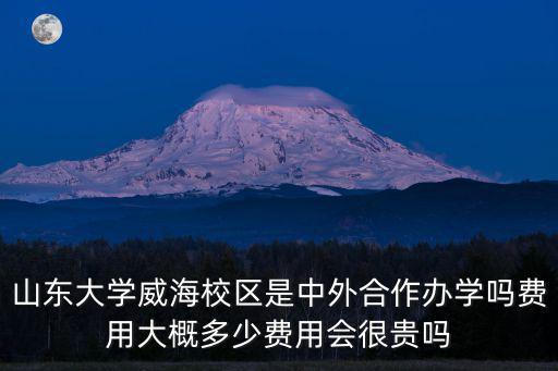 山東大學網(wǎng)教費用多少,費用會很貴嗎