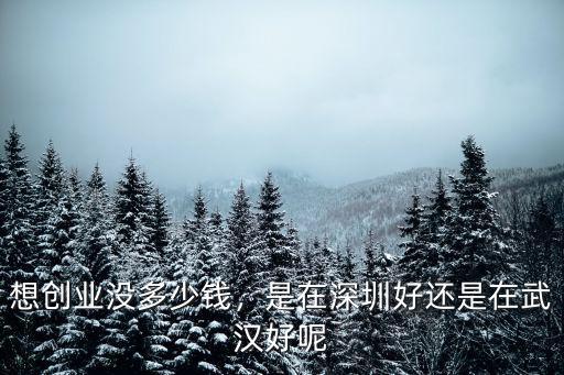 想創(chuàng)業(yè)沒多少錢，是在深圳好還是在武漢好呢