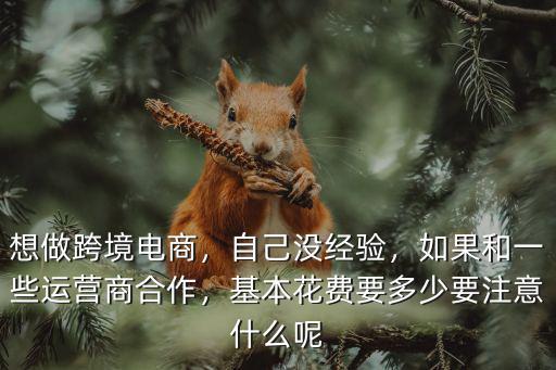 想做跨境電商，自己沒經(jīng)驗，如果和一些運營商合作，基本花費要多少要注意什么呢