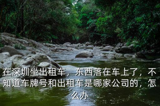 深圳出租車車牌開頭多少,在深圳開出租車有什么條件