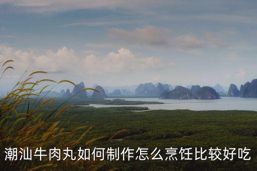 潮州 彈力 牛肉丸怎么做,潮汕牛肉丸如何制作