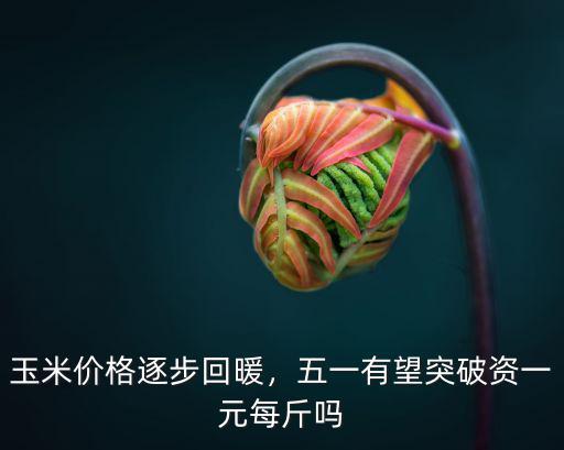 玉米價格逐步回暖，五一有望突破資一元每斤嗎