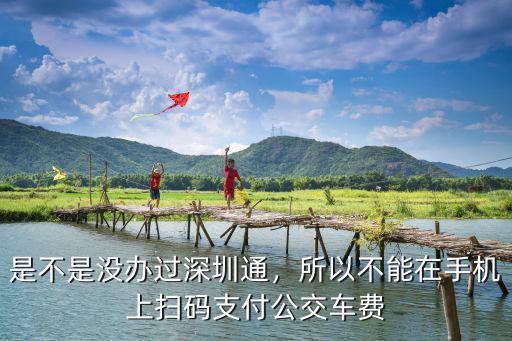 深圳坐公交手機怎么掃碼,坐公交車怎么用手機支付