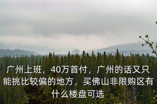 廣州上班，40萬首付，廣州的話又只能挑比較偏的地方，買佛山非限購區(qū)有什么樓盤可選