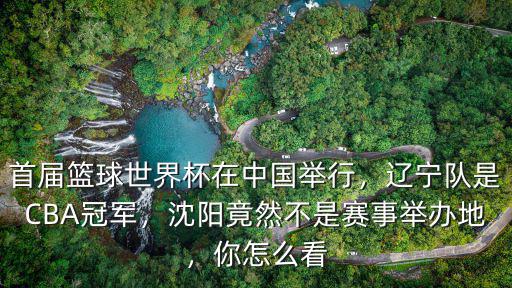 籃球世界杯在東莞哪里舉行,籃球世界杯東莞承辦部分比賽