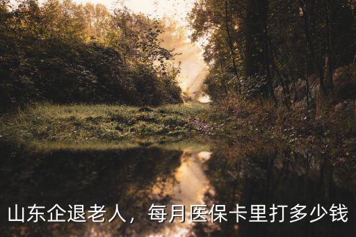 山東企退老人，每月醫保卡里打多少錢