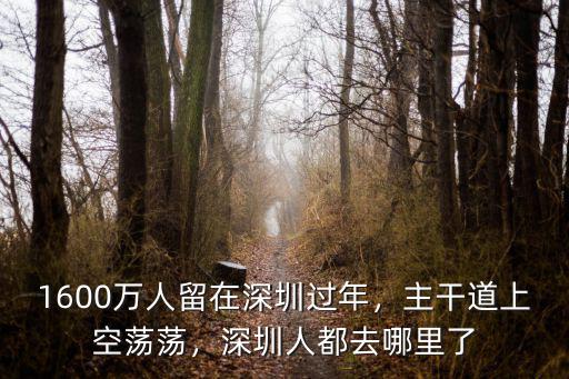 吳佩慈深圳哪里人,深圳人都去哪里了